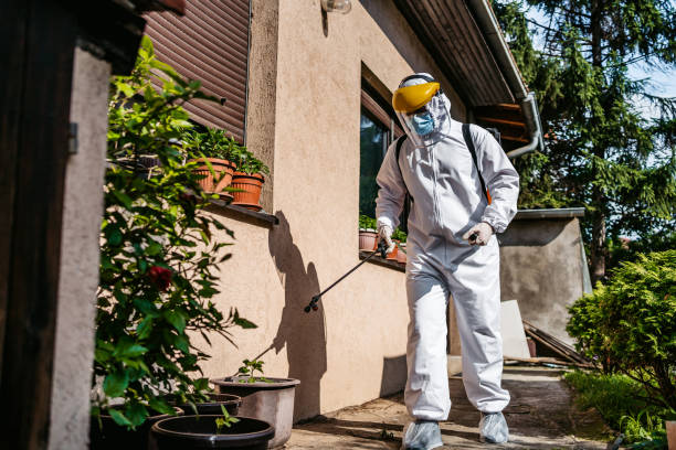 Best Ant Control Services  in Litchfield, IL