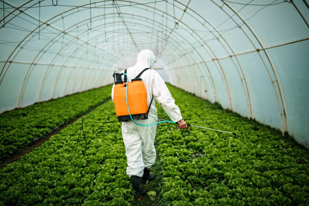 Reliable Litchfield, IL Pest Control Solutions
