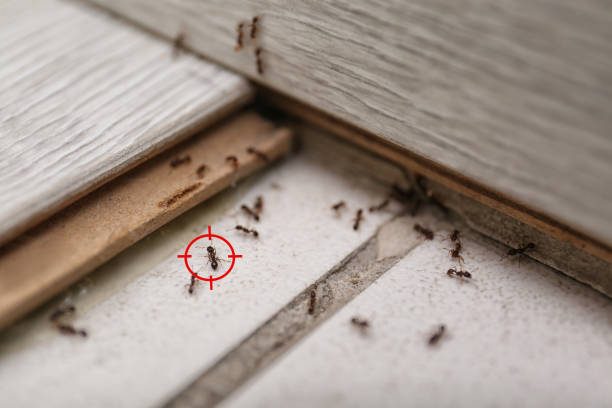 Best Commercial Pest Control Services  in Litchfield, IL