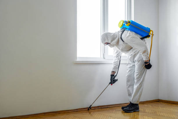 Flea Control Services in Litchfield, IL