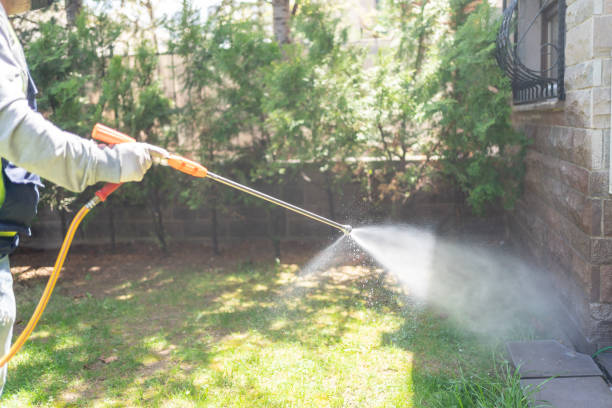 Best Insect Control  in Litchfield, IL