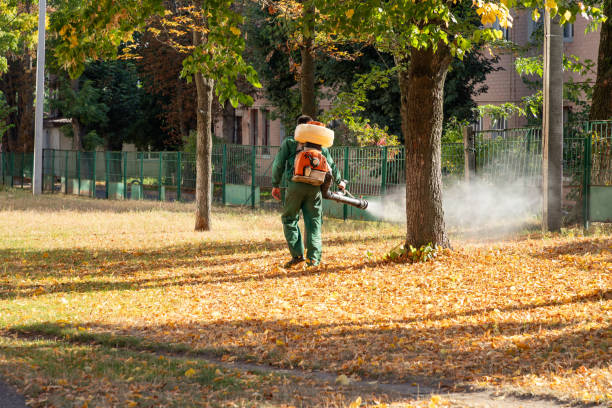Best Bird Control  in Litchfield, IL