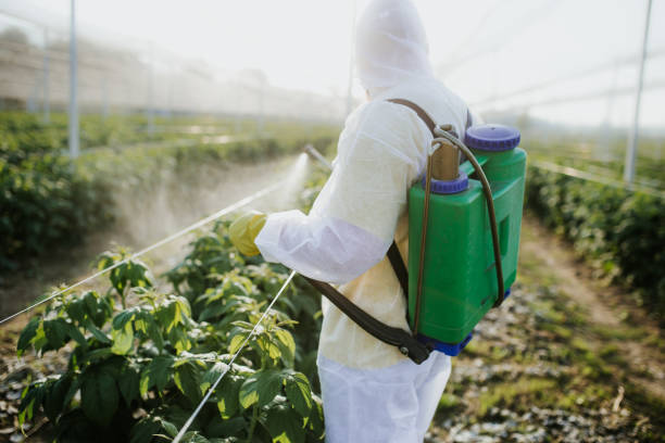 Insect Control in Litchfield, IL